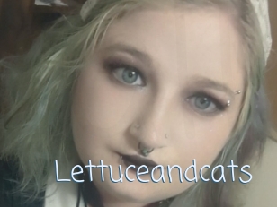 Lettuceandcats