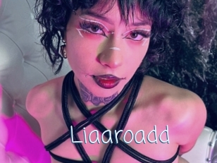 Liaaroadd