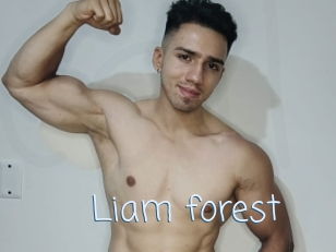 Liam_forest