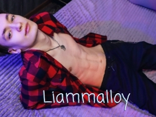 liammalloy Callsex