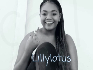Lillylotus