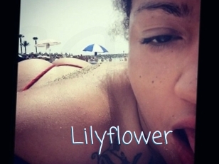Lilyflower