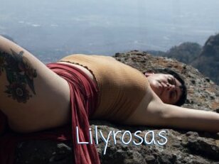 Lilyrosas