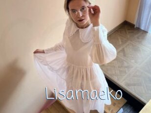 Lisamaeko