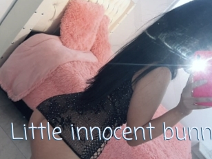 Little_innocent_bunny