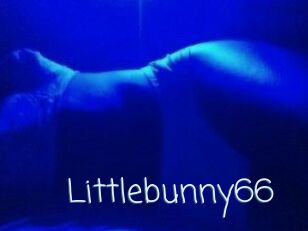 Littlebunny66