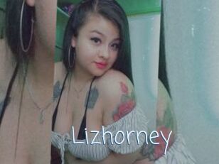 Lizhorney