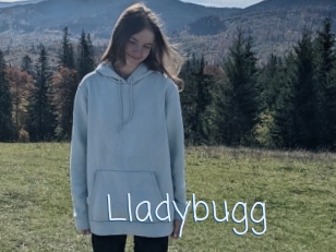 Lladybugg