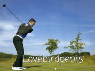 Lovebirdpenis
