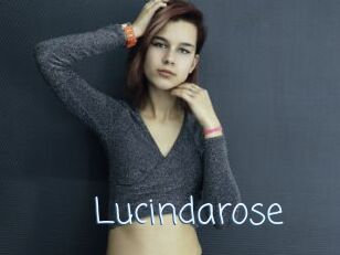 Lucindarose