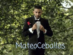 MateoCeballos