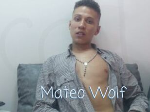 Mateo_Wolf