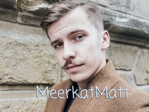 MeerkatMatt