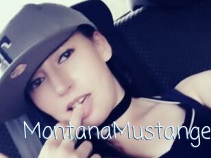 MontanaMustange