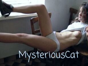 MysteriousCat