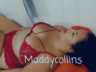 Maddycollins