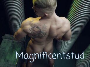 Magnificentstud