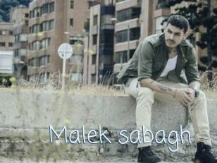 Malek_sabagh