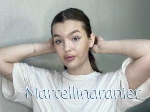 Marcellinaranier
