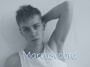 Marcuscobra