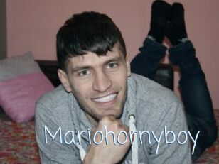 Mariohornyboy