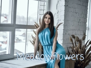 Meadowflowers