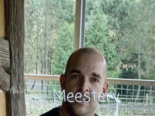 Meesterv