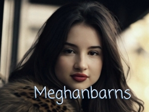 Meghanbarns