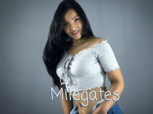 Milegates