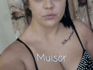 Muisor