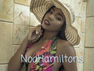 NoaHamiltons