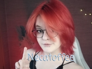 necatoffee Callsex