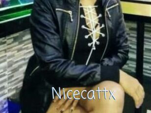 Nicecattx