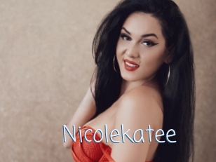 nicolekatee Callsex