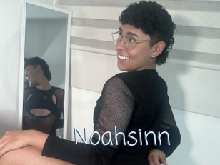 Noahsinn