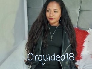 Orquidea18