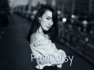 PaleDaisy