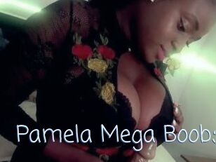 Pamela_Mega_Boobs