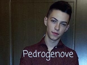 Pedrogenove