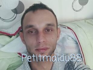 Petitmaldu88