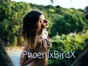 PhoenixBirdX