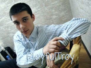 PlayfulTroy