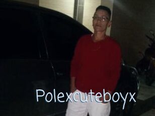 Polexcuteboyx
