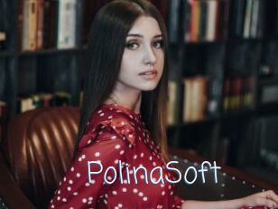 PolinaSoft