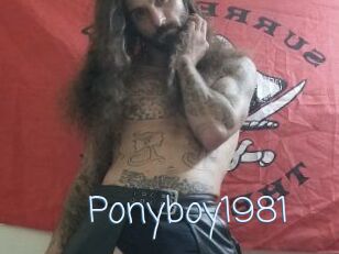 Ponyboy1981