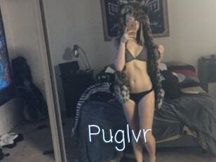 Puglvr