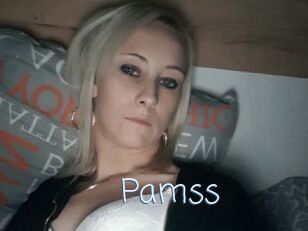 Pamss