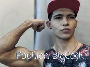 Papillon_BigCock