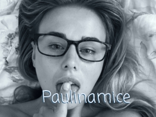 Paulinamice