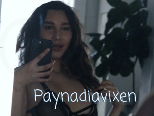 Paynadiavixen